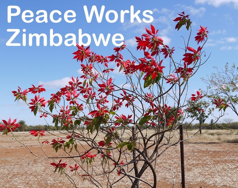 peace works zimbabwe home page